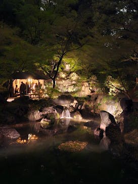 六義園に投稿された画像（2025/3/29）