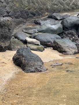 伊豆・三津シーパラダイスに投稿された画像（2025/3/29）