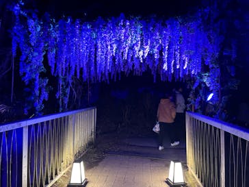 ニジゲンノモリに投稿された画像（2025/3/29）