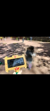 日本モンキーパークに投稿された画像（2025/3/29）