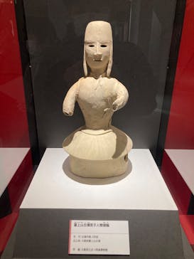特別展「古代DNA－日本人のきた道」（国立科学博物館）に投稿された画像（2025/3/29）