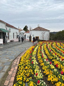 志摩スペイン村パルケエスパーニャに投稿された画像（2025/3/29）