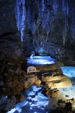 おきなわワールドに投稿された画像（2025/3/29）