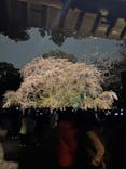 六義園に投稿された画像（2025/3/30）