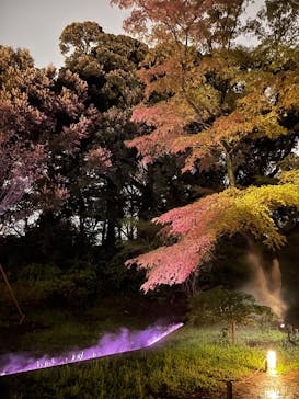 六義園に投稿された画像（2025/3/29）