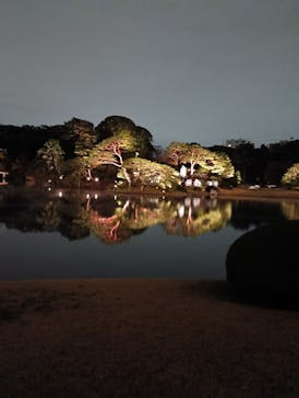 六義園に投稿された画像（2025/3/29）