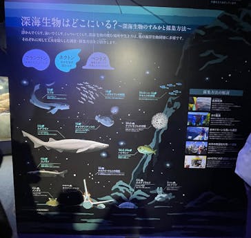 新江ノ島水族館に投稿された画像（2025/3/29）