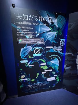 新江ノ島水族館に投稿された画像（2025/3/29）