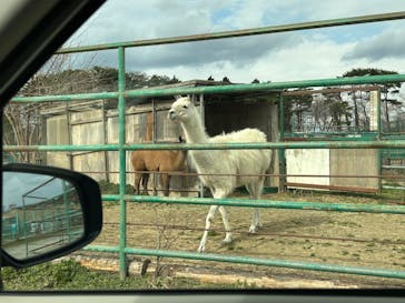 岩手サファリパークに投稿された画像（2025/3/30）