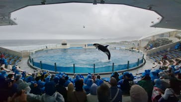 鴨川シーワールドに投稿された画像（2025/3/30）