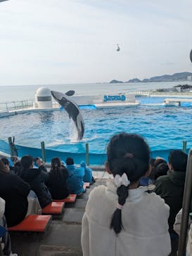 鴨川シーワールドに投稿された画像（2025/3/30）