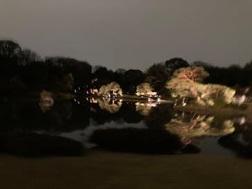 六義園に投稿された画像（2025/3/30）