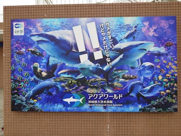 アクアワールド茨城県大洗水族館に投稿された画像（2025/3/30）