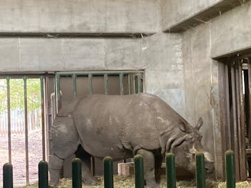 名古屋市東山動植物園に投稿された画像（2025/3/30）