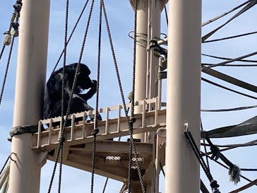 名古屋市東山動植物園に投稿された画像（2025/3/30）