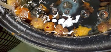 アクアマリンふくしまに投稿された画像（2025/3/30）