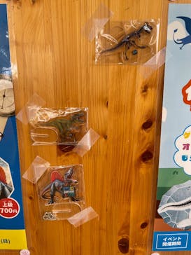 安城産業文化公園デンパークに投稿された画像（2025/3/30）