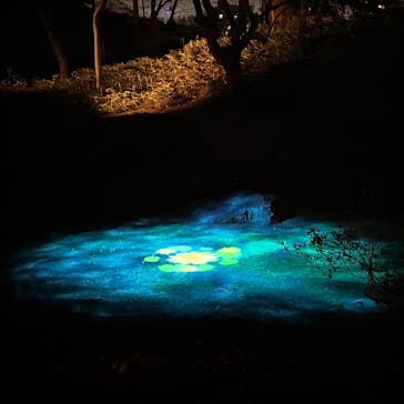 六義園に投稿された画像（2025/3/30）