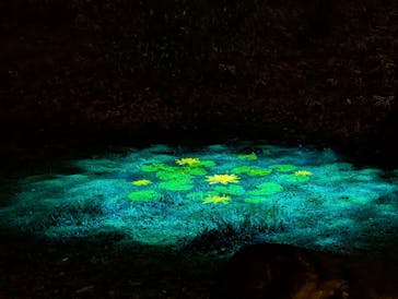 六義園に投稿された画像（2025/3/30）