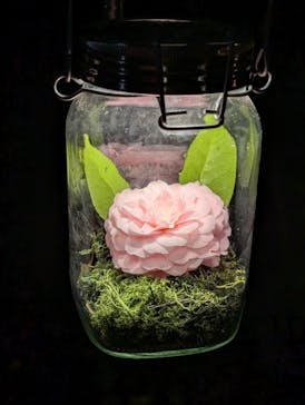 六義園に投稿された画像（2025/3/30）