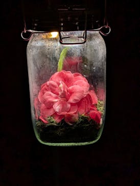 六義園に投稿された画像（2025/3/30）