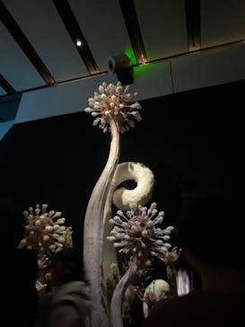 金曜ロードショーとジブリ展　三重展に投稿された画像（2025/3/30）