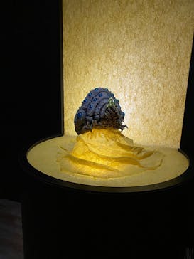 金曜ロードショーとジブリ展　三重展に投稿された画像（2025/3/30）