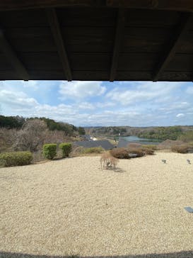 宮沢湖温泉 喜楽里 別邸に投稿された画像（2025/3/30）