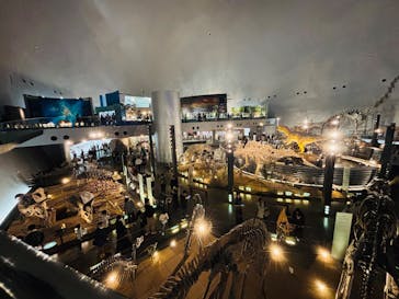 福井県立恐竜博物館に投稿された画像（2025/3/30）