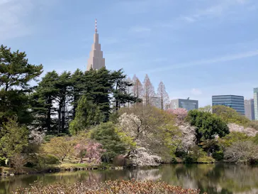 新宿御苑に投稿された画像（2025/3/30）