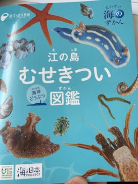 新江ノ島水族館に投稿された画像（2025/3/30）