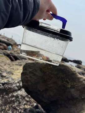 新江ノ島水族館に投稿された画像（2025/3/30）