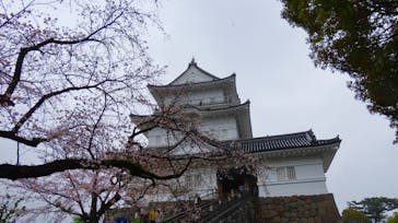 小田原城に投稿された画像（2025/3/30）