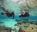 青の洞窟専門店　沖縄ダイビングショップ和に投稿された画像（2025/3/30）