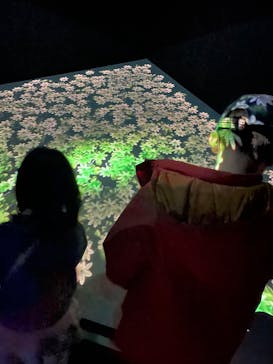 NIFREL（ニフレル）に投稿された画像（2025/3/30）