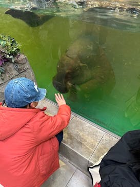 NIFREL（ニフレル）に投稿された画像（2025/3/30）