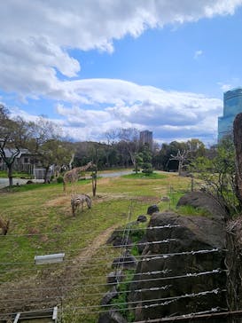 天王寺動物園に投稿された画像（2025/3/30）
