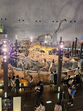 福井県立恐竜博物館に投稿された画像（2025/3/30）