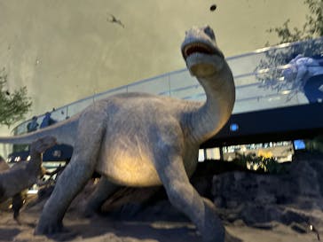 福井県立恐竜博物館に投稿された画像（2025/3/30）