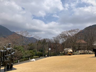彫刻の森美術館に投稿された画像（2025/3/30）
