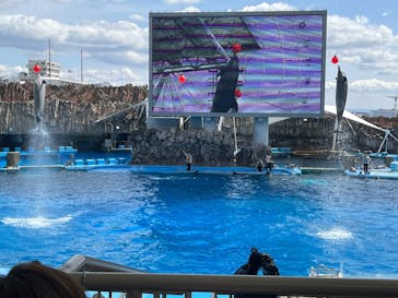 名古屋港水族館に投稿された画像（2025/3/30）