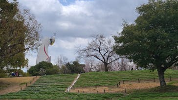 万博記念公園に投稿された画像（2025/3/30）