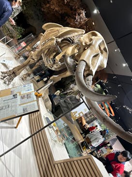 滋賀県立琵琶湖博物館に投稿された画像（2025/3/30）