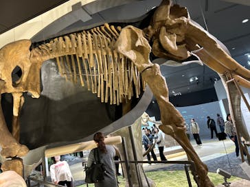 滋賀県立琵琶湖博物館に投稿された画像（2025/3/30）