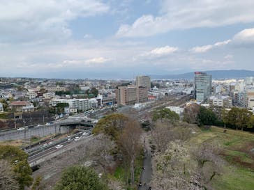 小田原城に投稿された画像（2025/3/30）