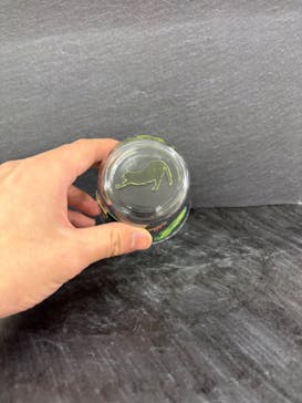 サンドブラスト本部教室 砂で削るガラス工芸教室に投稿された画像（2025/3/30）