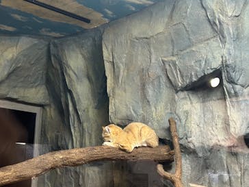 那須どうぶつ王国に投稿された画像（2025/3/30）