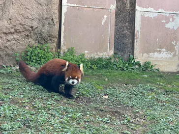 多摩動物公園に投稿された画像（2025/3/30）