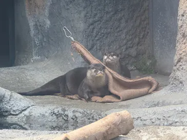 多摩動物公園に投稿された画像（2025/3/30）