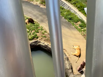 多摩動物公園に投稿された画像（2025/3/30）